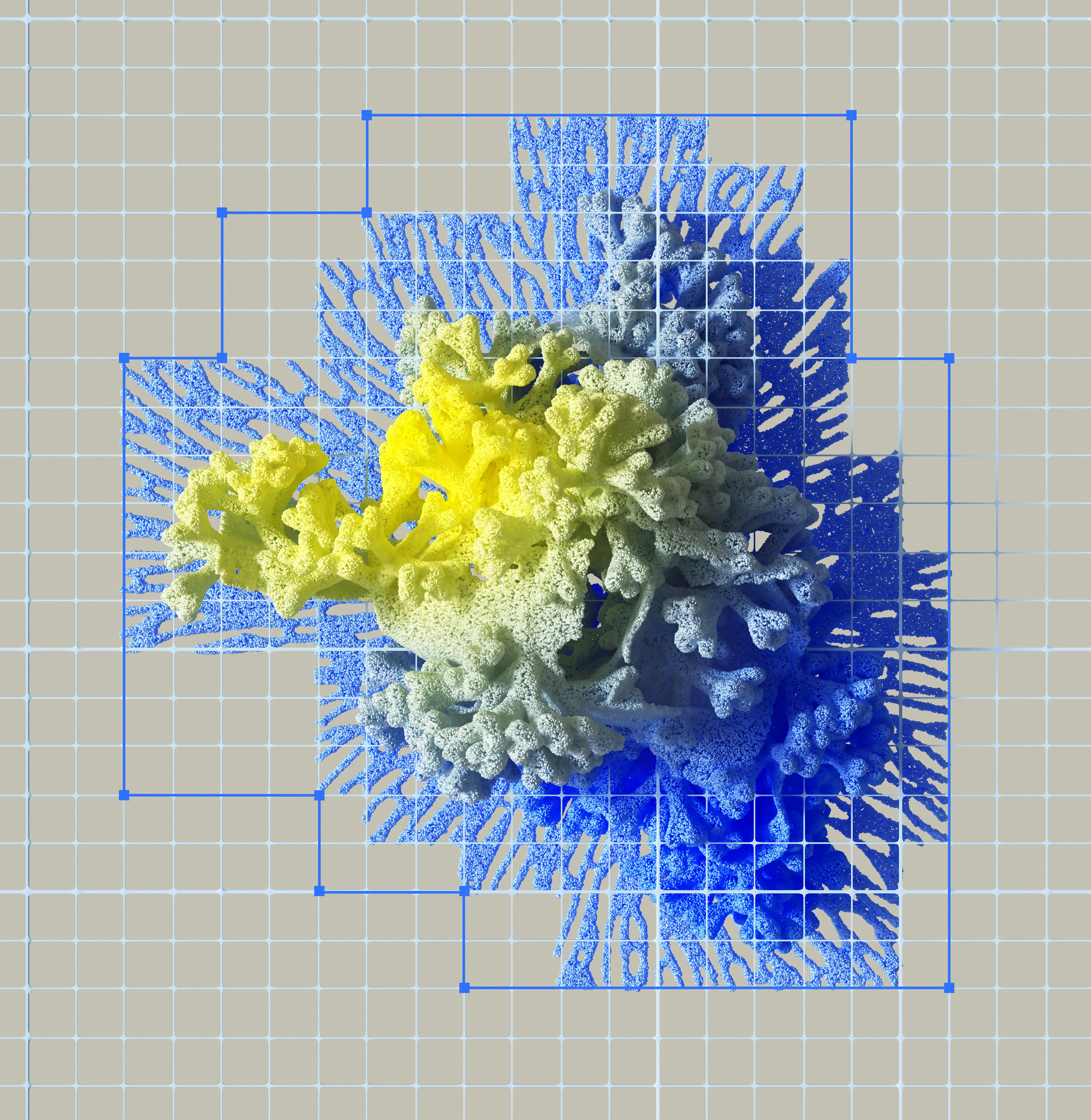 service-image